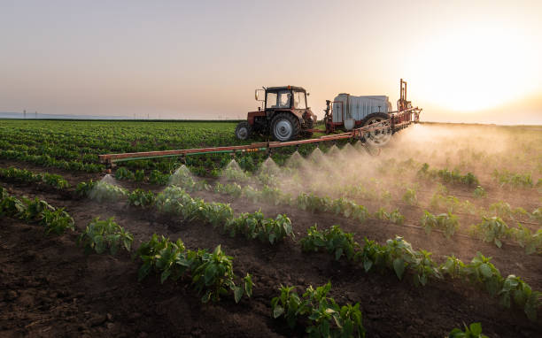 Best Mosquito Control Services  in Lennox, CA