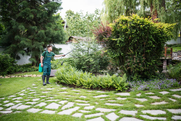 Best Pest Prevention Services  in Lennox, CA