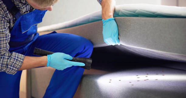 Best Flea Control Services  in Lennox, CA