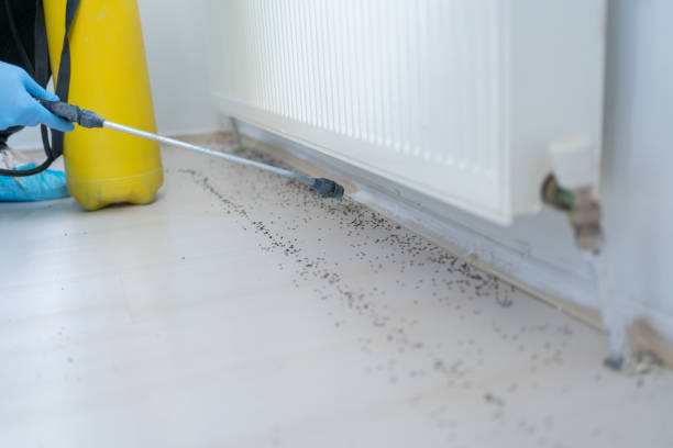 Best Pest Removal Services  in Lennox, CA